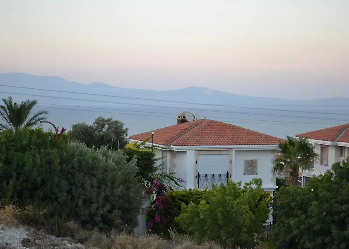 Boyalikta Sueper Lueks *